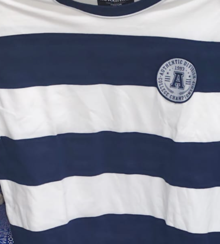 Academy Stripe High GSM Pure Cotton Men's T-Shirt